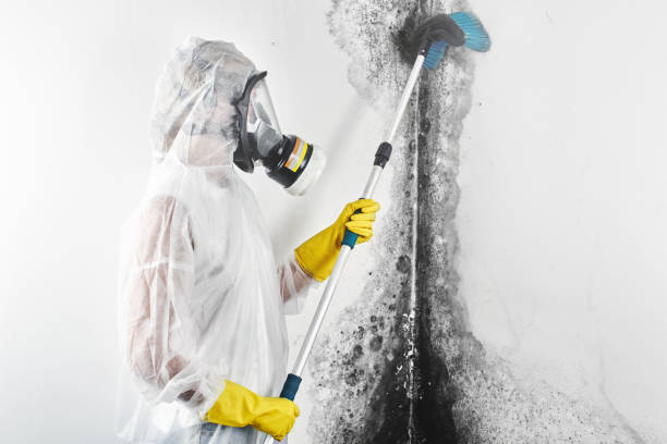 Best Airborne Mold Testing  in Florence, KY