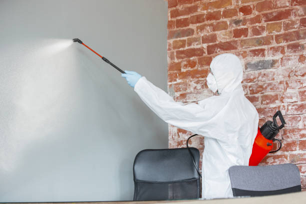 Reliable Florence, KY Mold Removal Solutions