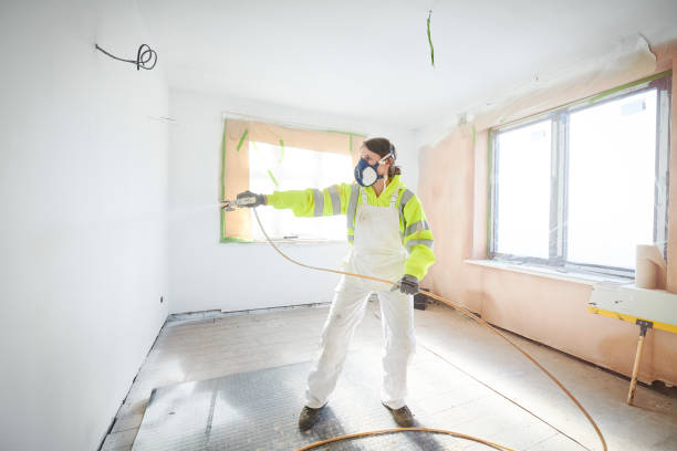 Best Emergency Mold Remediation  in Florence, KY