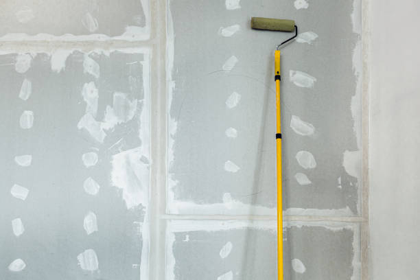 Best Mold Odor Removal Services  in Florence, KY