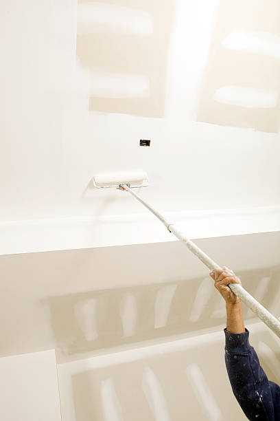 Best Mold Odor Removal Services  in Florence, KY