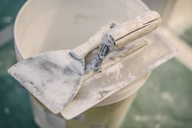 Best Real Estate Mold Inspection  in Florence, KY